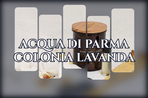Acqua di Parma - Colonia Lavanda