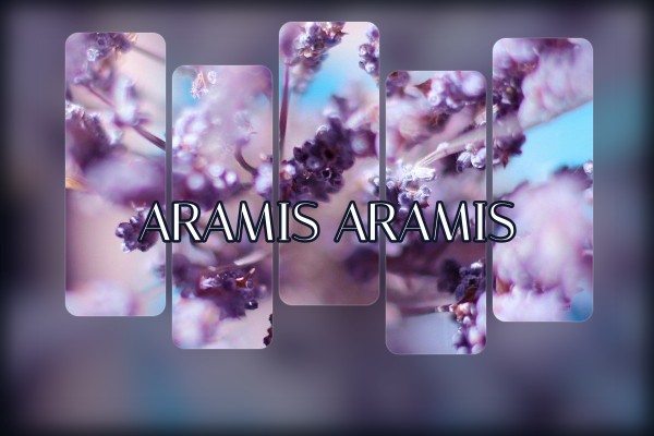 Aramis - Aramis