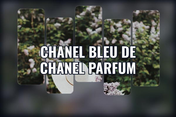 Chanel - Bleu de Chanel Parfum