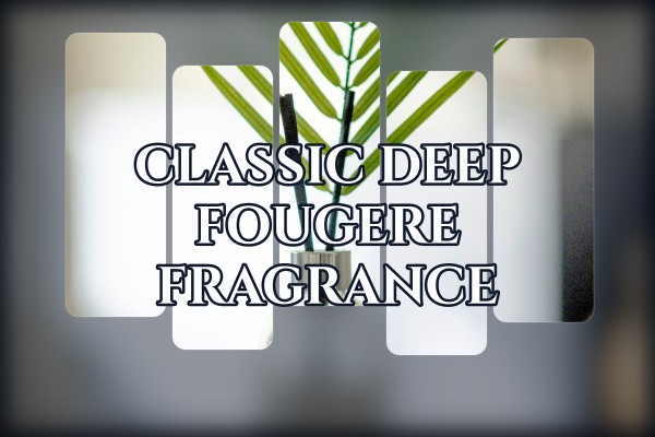 classic deep fougere fragrance