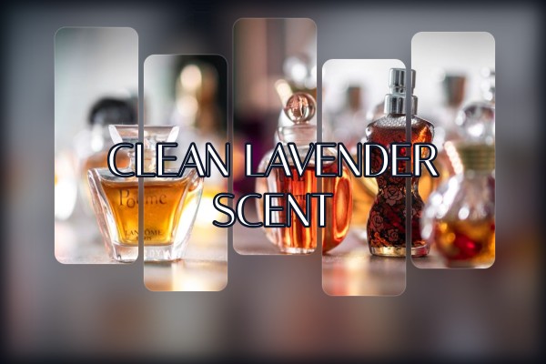 clean lavender scent