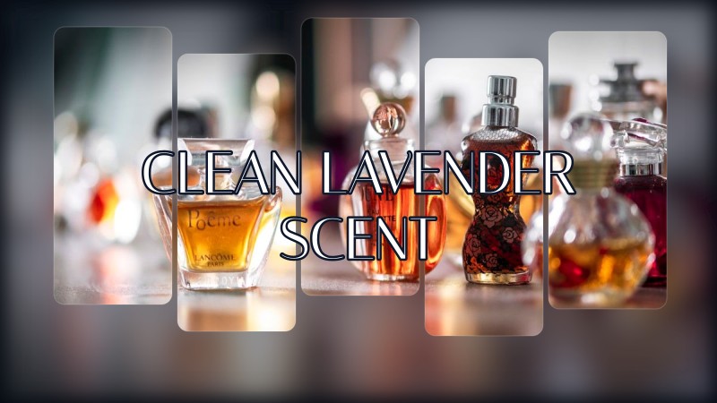 clean lavender scent
