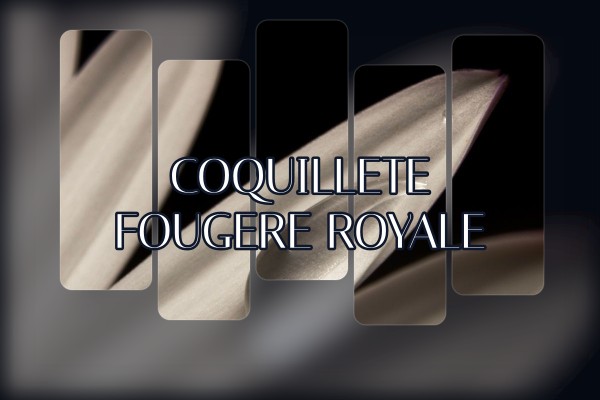 Coquillete - Fougere Royale