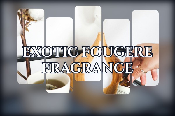 exotic fougere fragrance