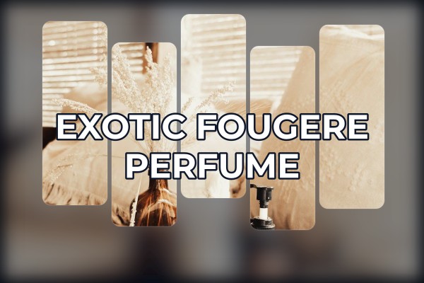 exotic fougere perfume