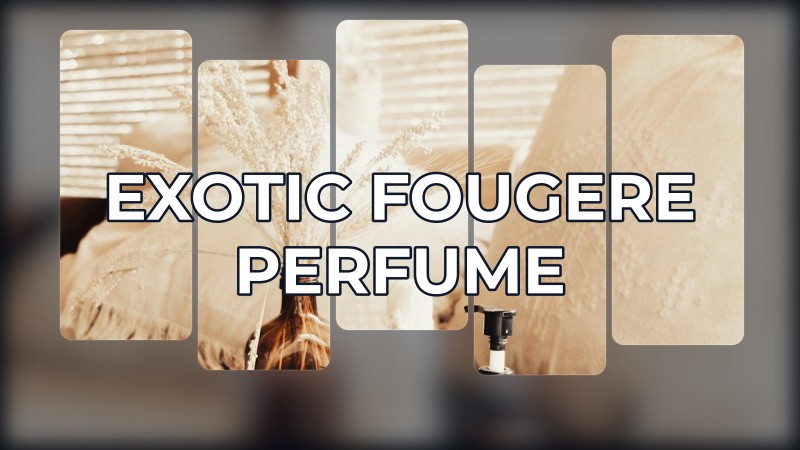 exotic fougere perfume