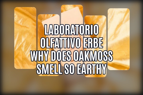 Laboratorio Olfattivo Erbe why does oakmoss smell so earthy