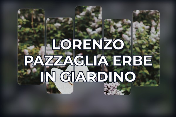Lorenzo Pazzaglia - Erbe in Giardino