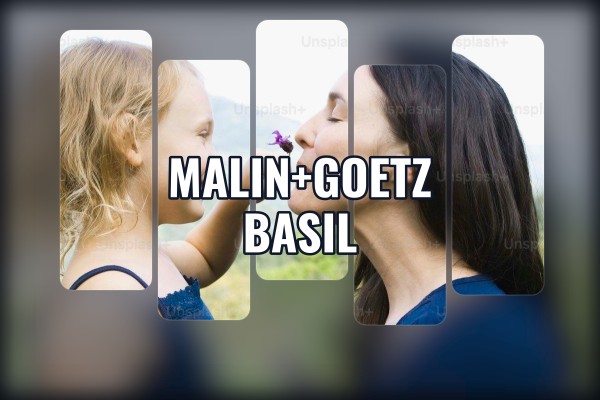 Malin+Goetz - Basil