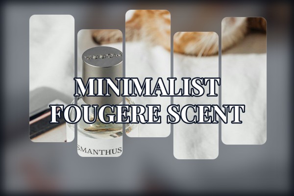 minimalist fougere scent