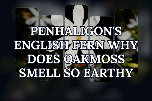 Penhaligon's English Fern why does oakmoss smell so earthy