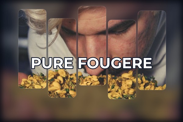 pure fougere