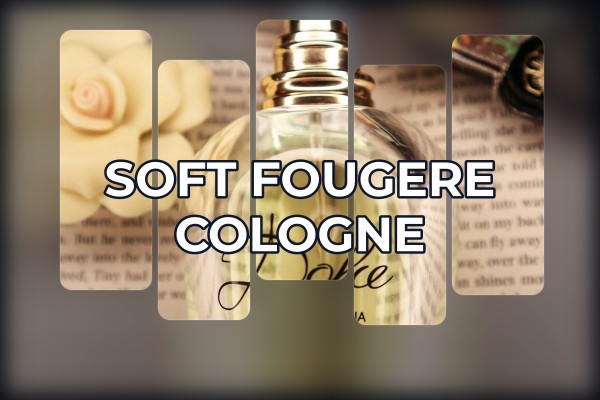 soft fougere cologne